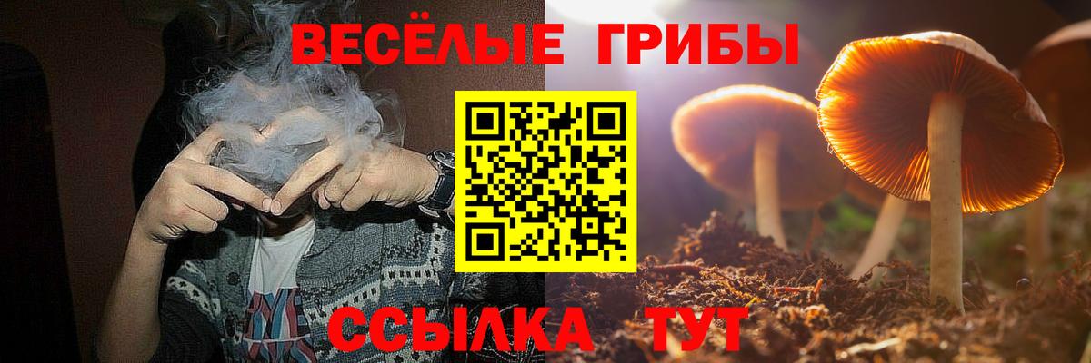 Галлюциногенные грибы MAGIC MUSHROOMS  Вход с VPN  Галлюциногенные грибы прущие грибы  Волгодонск 