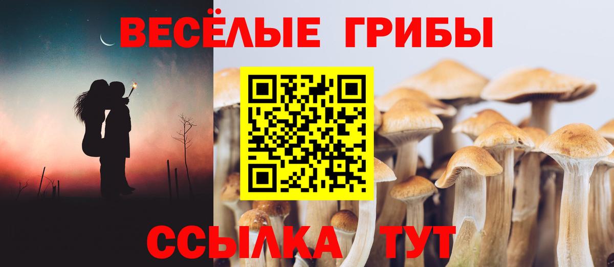 Псилоцибиновые грибы прущие грибы Волгодонск